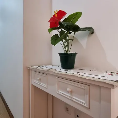 Lexus - Garajau カニコ