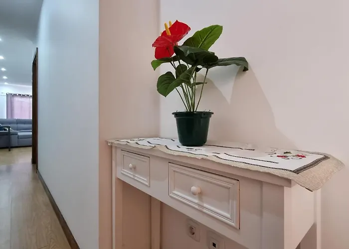 Lexus - Garajau كانيكو